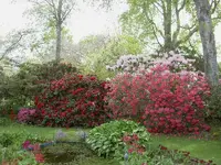 Fruehling 2008 103v.webp