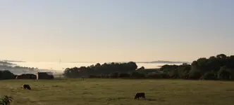 Highlands (3).webp