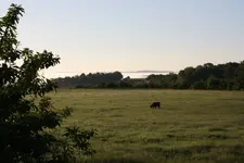 Highlands (2).webp