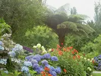 Januar 2010 659 v.webp