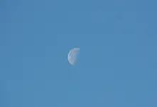 DSC_5354.webp