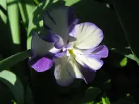 IMG_5609_1024x768.webp