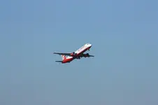 IMG_1846.webp