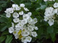 Kopie von bilder neu018.webp