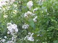 bilder neu017.webp