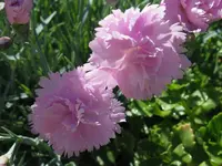 IMG_5651_1024x768.webp