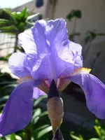 DSCI0940.webp