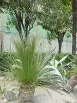 DSC03248.webp
