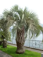 DSC03253.webp