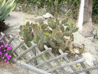 DSC03249.webp
