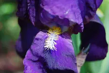 DSC_0004.webp