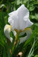 Image015.webp