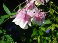 DSC04464.webp
