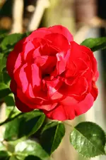 IMG_2041.webp