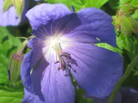 023.webp