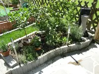 P6040013 800x600.webp