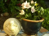 Garten 020.webp
