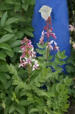 DSC03039.webp