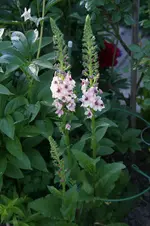 DSC03037.webp