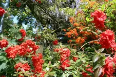 IMG_1995 - Kopie.webp