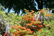 IMG_1996 - Kopie.webp