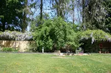 IMG_1997 - Kopie.webp