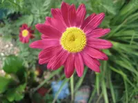 IMG_1426.webp