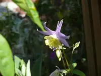 P1110128_600_450.webp