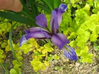 IMG_5711_1024x768.webp