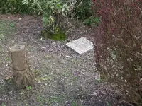 Garten2.webp