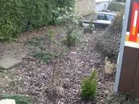Garten5.webp