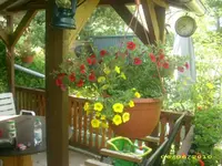 Garten 004.webp