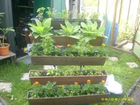 Garten 005.webp