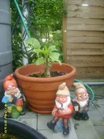 Garten 008.webp
