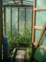 Garten 011.webp