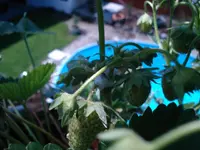 DSC01520.webp