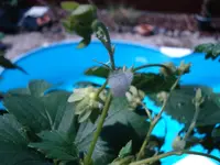 DSC01521.webp