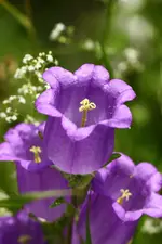 IMG_2070.webp