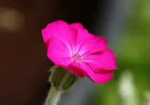 IMG_2073.webp