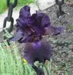 IMG_2913.webp