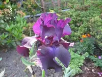 IMG_2900.webp