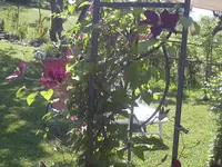06.06.2010 048.webp