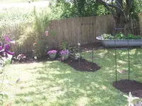 06.06.2010 013.webp