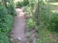 06.06.2010 003.webp