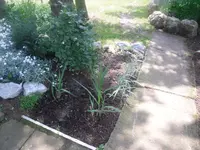 06.06.2010 005.webp