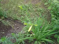06.06.2010 006.webp
