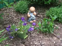 DSCF3392.webp