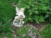 DSCF3391.webp
