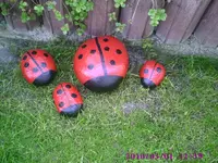 Käfersteine.webp