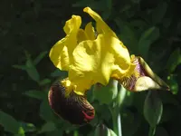 004.webp